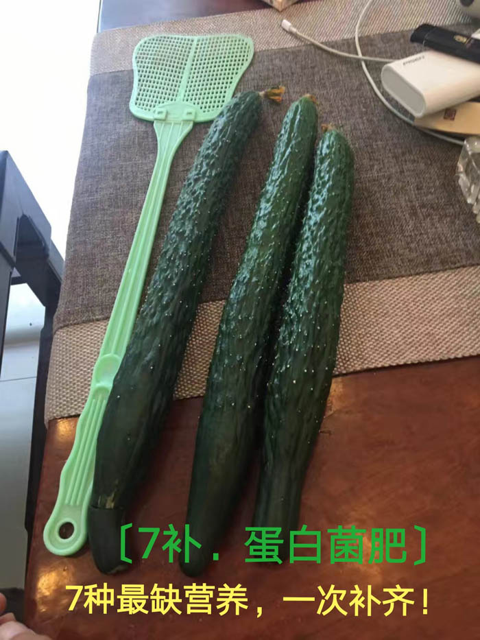 黄瓜使用效果