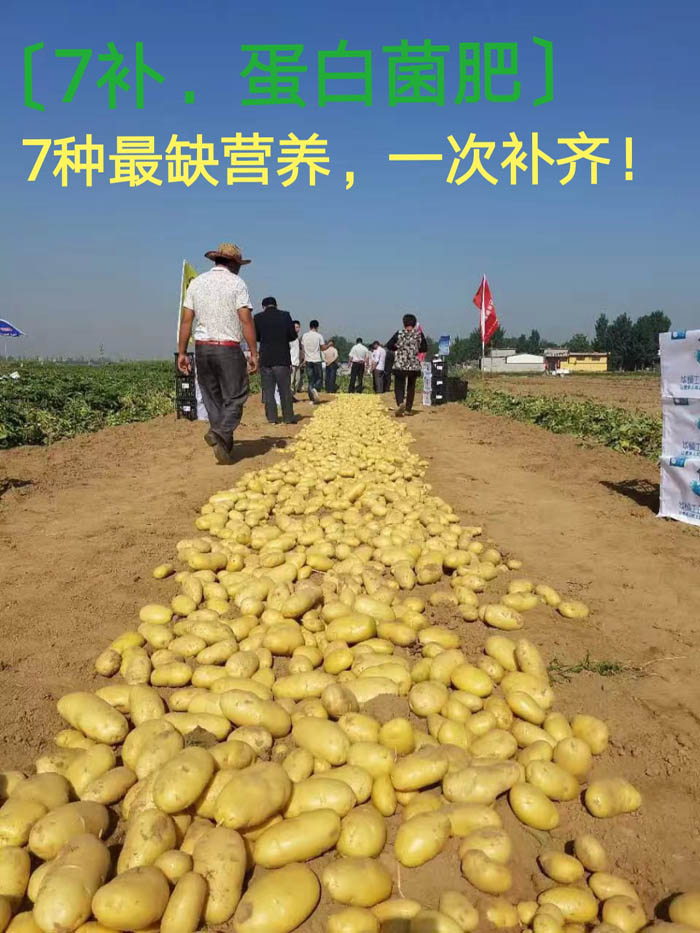 土豆使用效果图